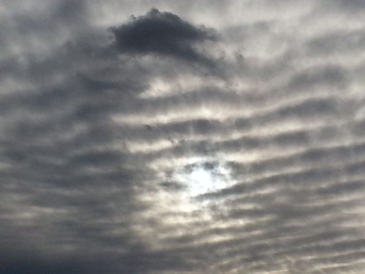 Vorschaubild Chemtrails